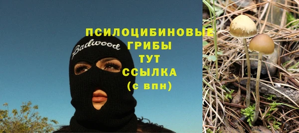 стафф Бугульма