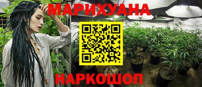 spice Балашиха